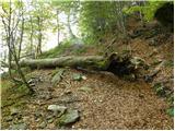 Stara Fužina - Planina Krstenica